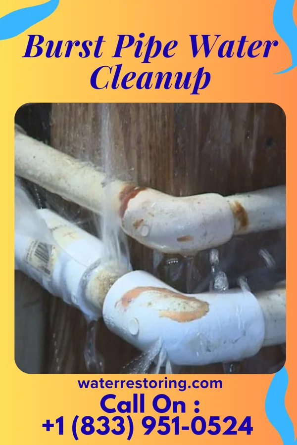 Burst Pipe Water Cleanup in Lakes of the North, MI