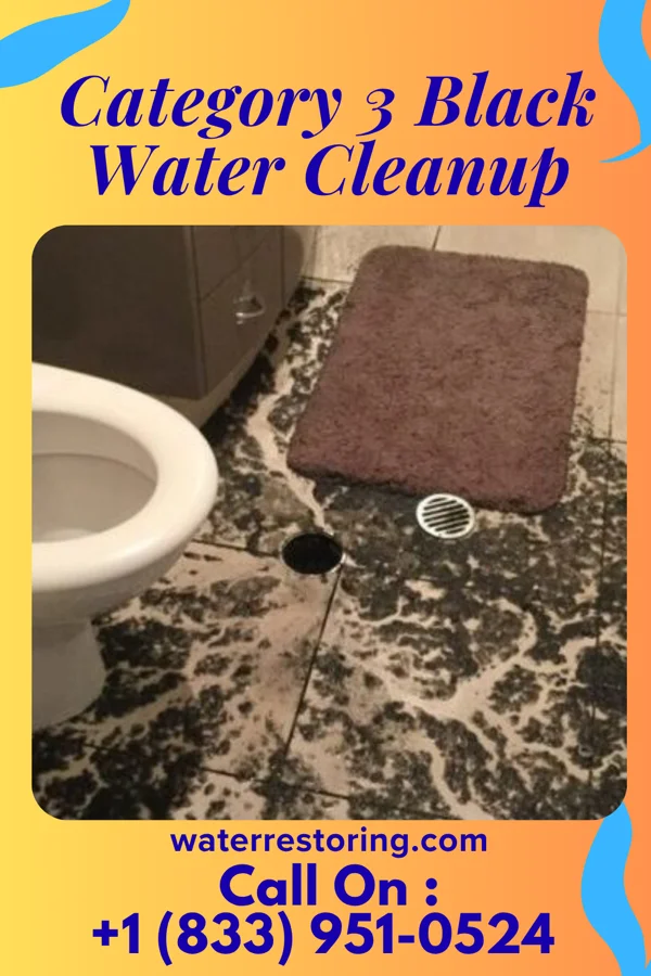 Category 3 Black Water Cleanup in Lakes of the North, MI
