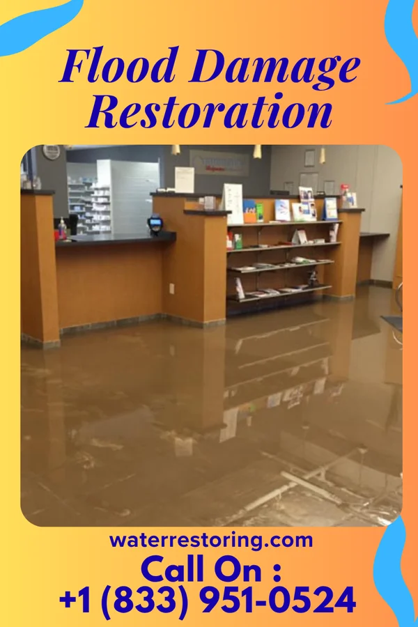 Flood Damage Restoration in Lakes of the North, MI